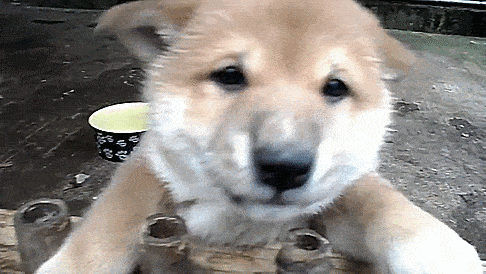 Просто гифки, всякие и&nbsp;разные