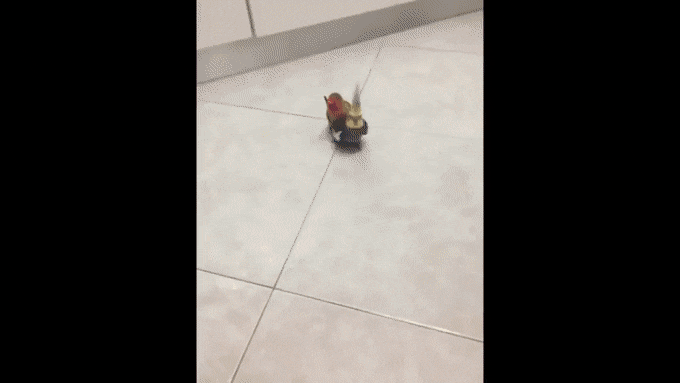 Просто гифки, всякие и&nbsp;разные