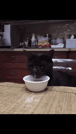 Просто гифки, всякие и&nbsp;разные