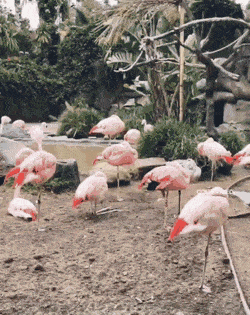 Просто гифки, всякие и&nbsp;разные