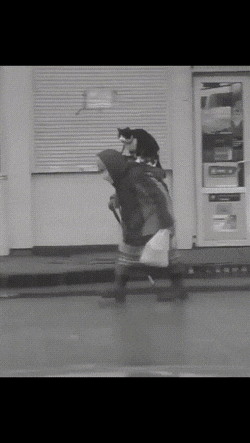 Просто гифки, всякие и&nbsp;разные