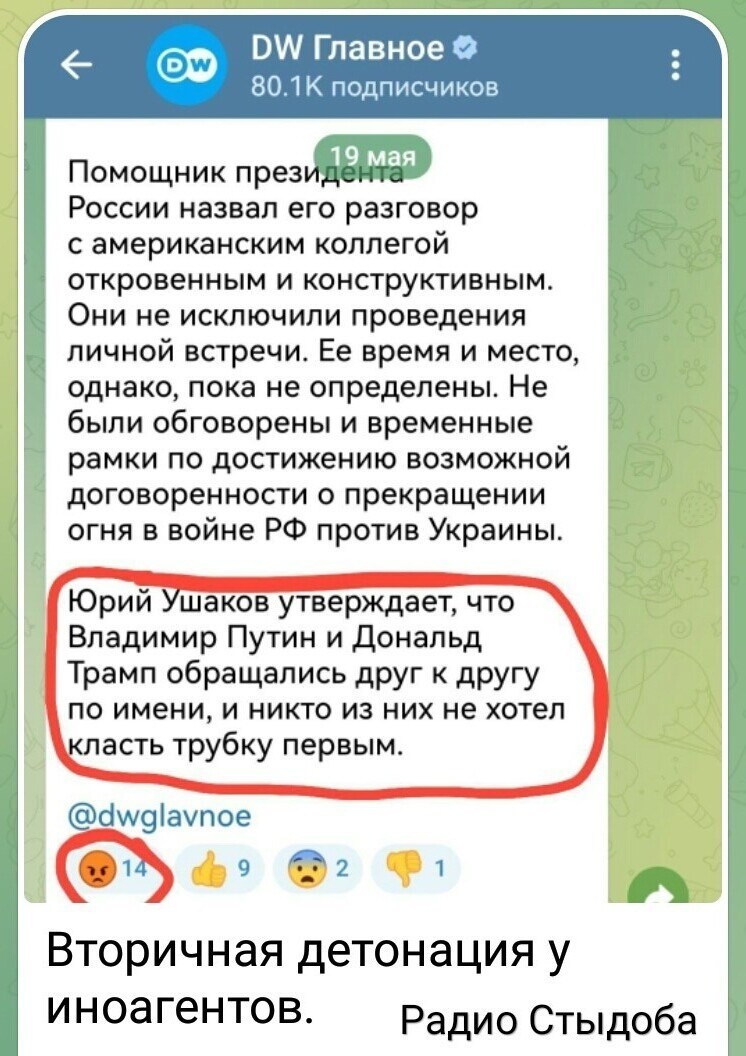 Лишь о политике