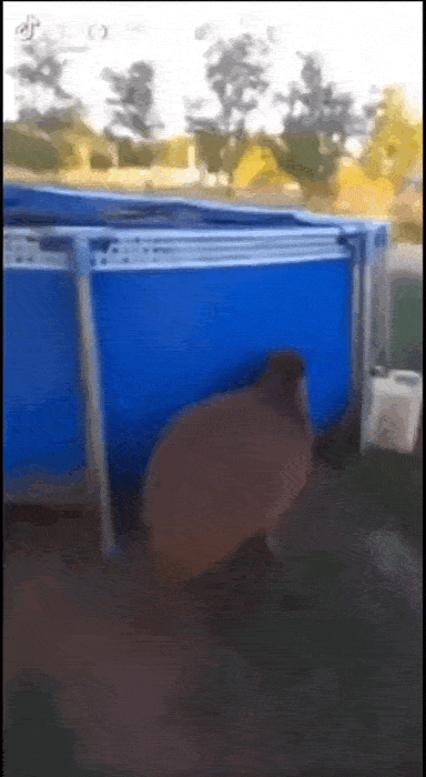 Просто гифки, всякие и разные Просто гифки, всякие и разные