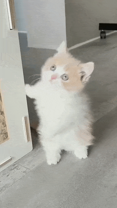 Просто гифки, всякие и разные Просто гифки, всякие и разные