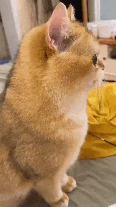 Просто гифки, всякие и разные Просто гифки, всякие и разные