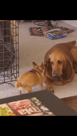 Просто гифки, всякие и разные Просто гифки, всякие и разные