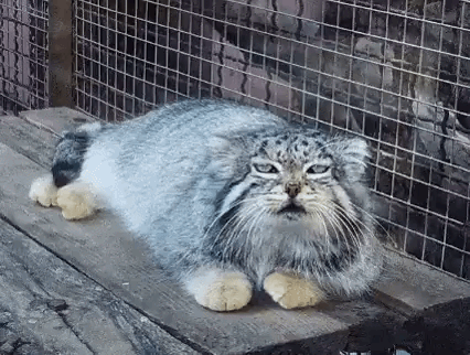 Как же хочется спать