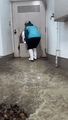 Гости пожаловали