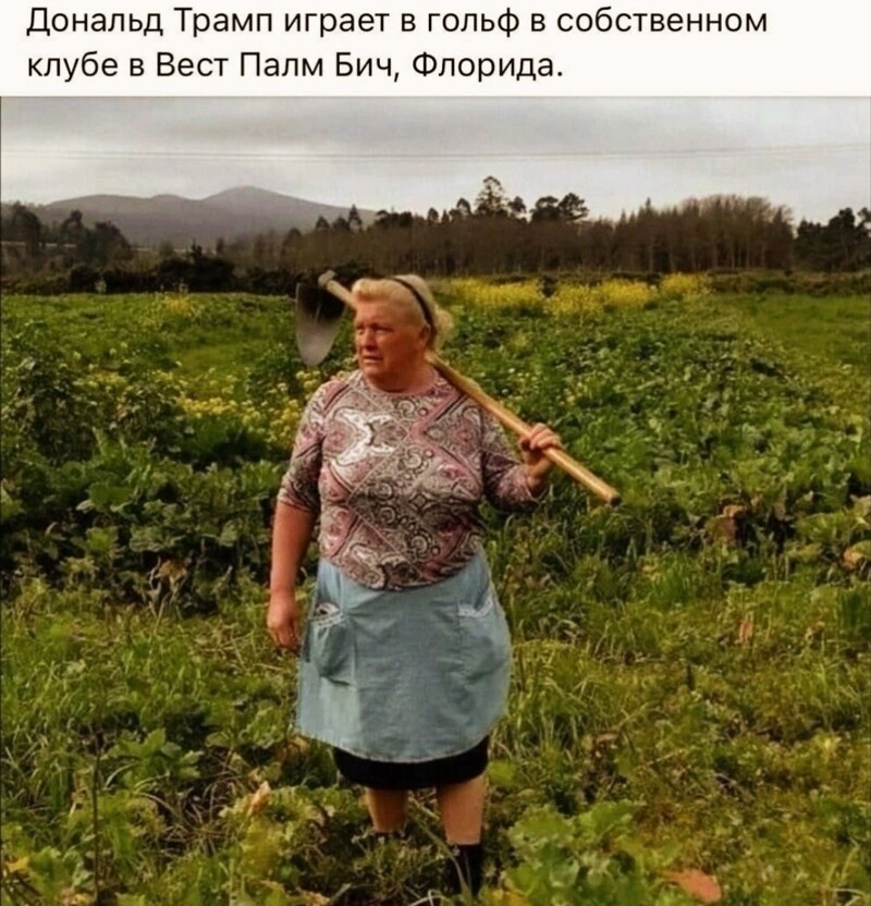 Лишь о политике