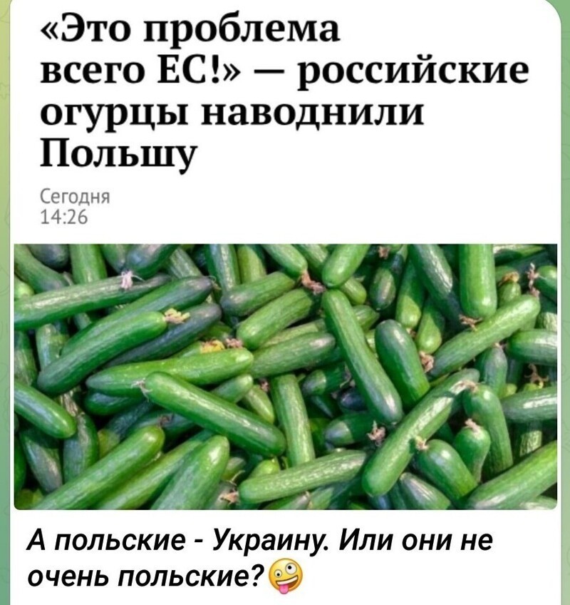 Лишь о политике