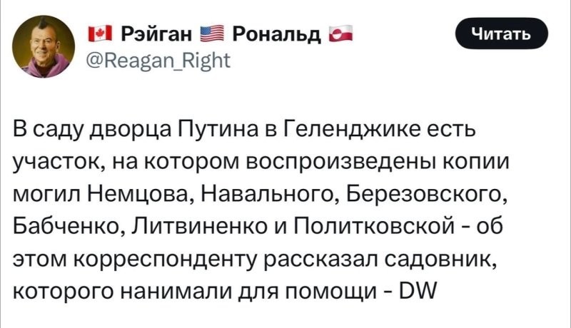 Лишь о политике