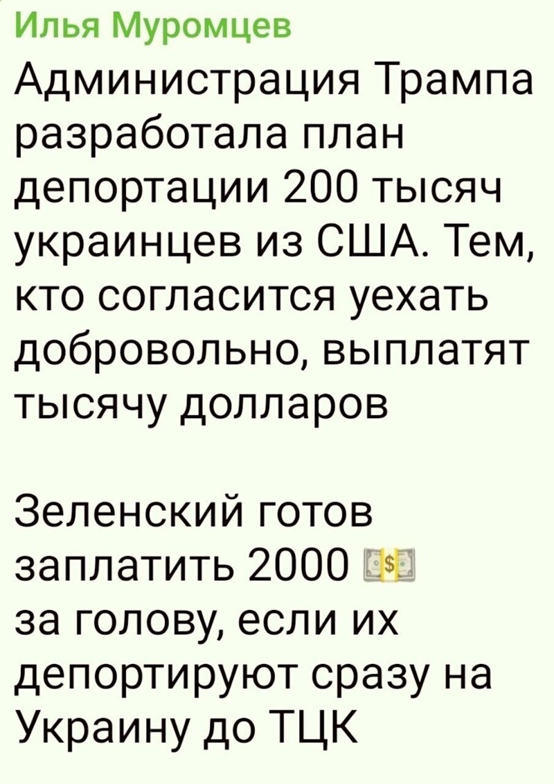 О политике и не только