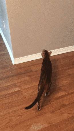 Просто гифки, всякие и&nbsp;разные