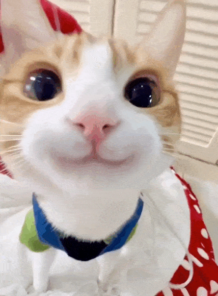 Просто гифки, всякие и&nbsp;разные