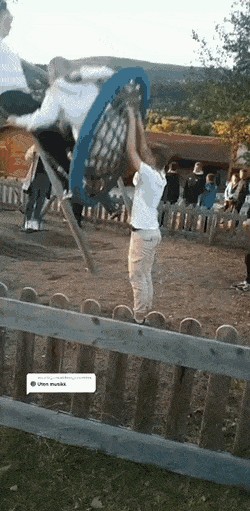 Просто гифки, всякие и&nbsp;разные