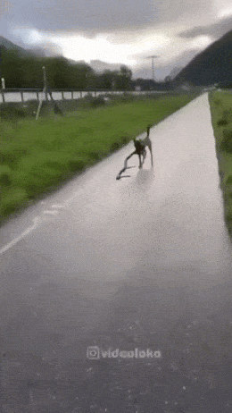 Просто гифки, всякие и&nbsp;разные