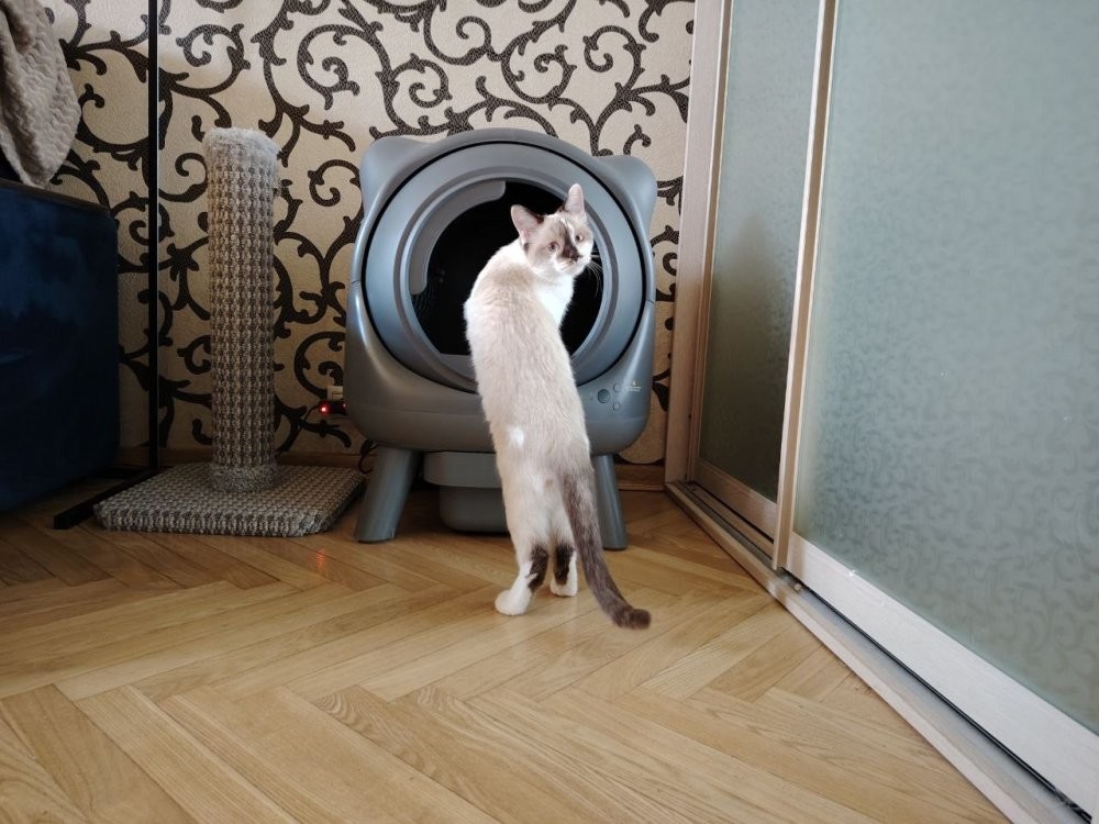 Умный лоток, который отлично вписывается в интерьер