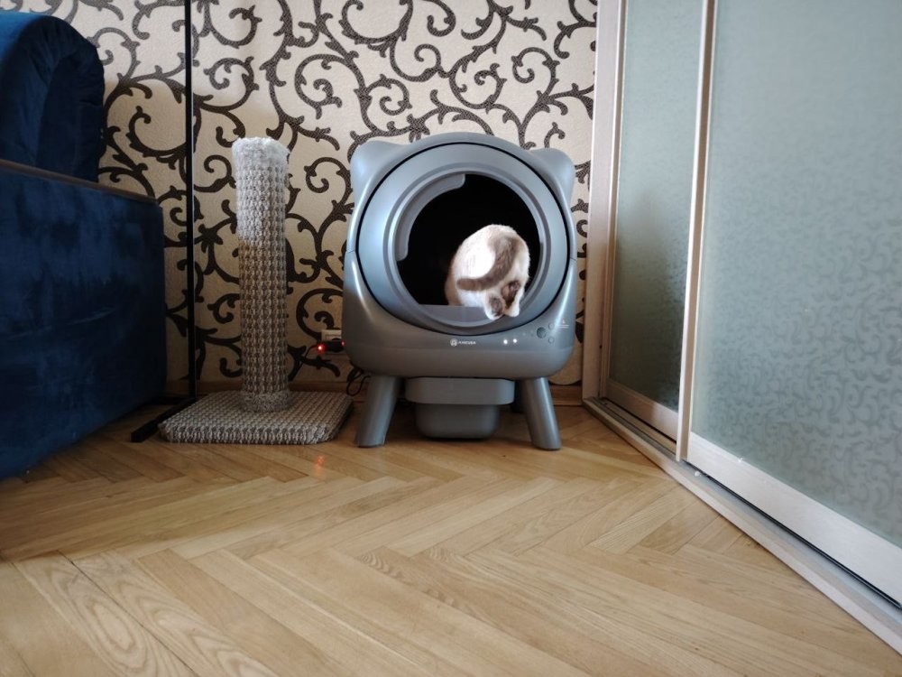 Умный лоток, который отлично вписывается в интерьер
