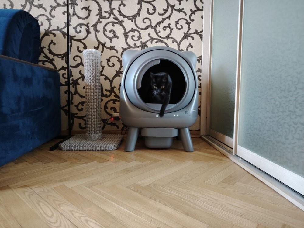Умный лоток, который отлично вписывается в интерьер