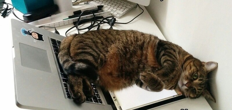 4. Тебе это не нужно