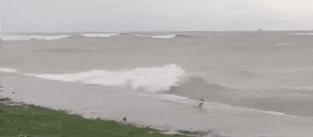 Просто гифки, всякие и&nbsp;разные