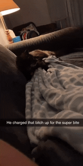 Просто гифки, всякие и&nbsp;разные