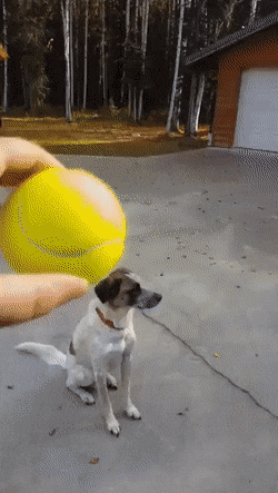 Просто гифки, всякие и&nbsp;разные