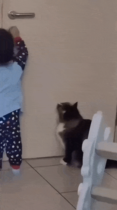 Просто гифки, всякие и&nbsp;разные