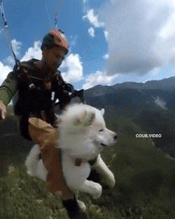 Просто гифки, всякие и&nbsp;разные