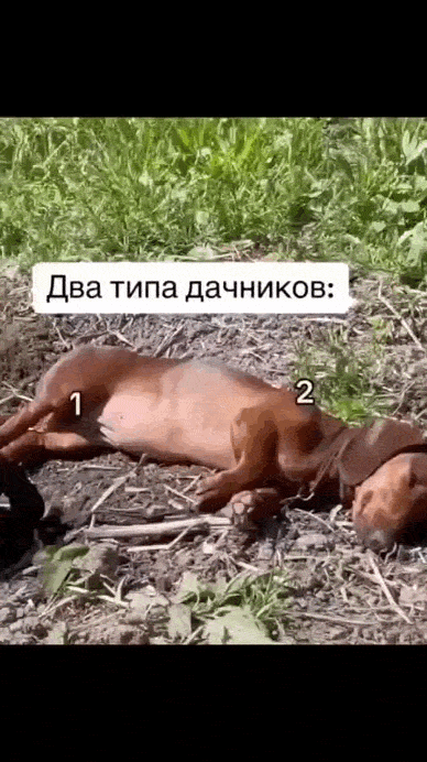 Просто гифки, всякие и&nbsp;разные