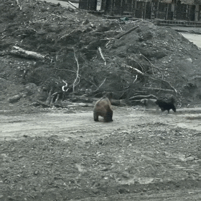 Просто гифки, всякие и&nbsp;разные