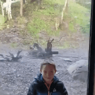 Просто гифки, всякие и&nbsp;разные