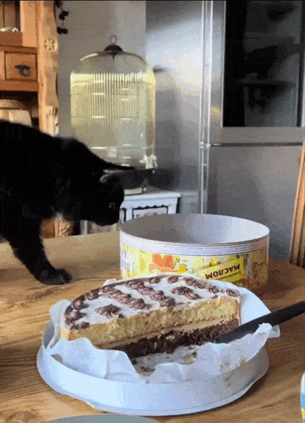 Просто гифки, всякие и&nbsp;разные