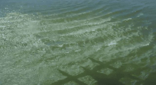 Просто гифки, всякие и&nbsp;разные