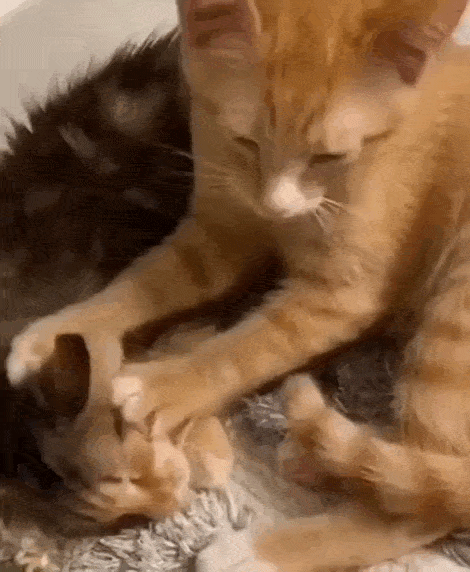 Просто гифки, всякие и&nbsp;разные