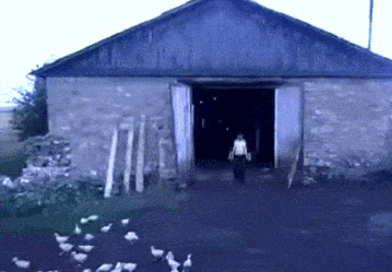 Просто гифки, всякие и&nbsp;разные