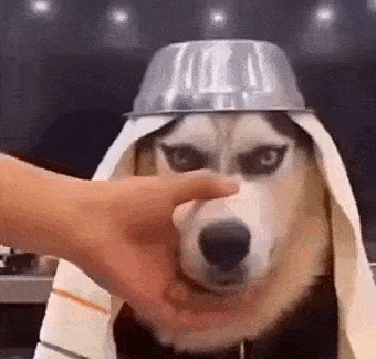 Просто гифки, всякие и&nbsp;разные