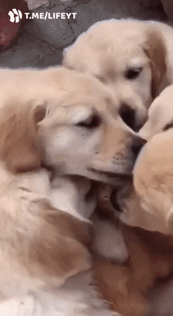 Просто гифки, всякие и&nbsp;разные