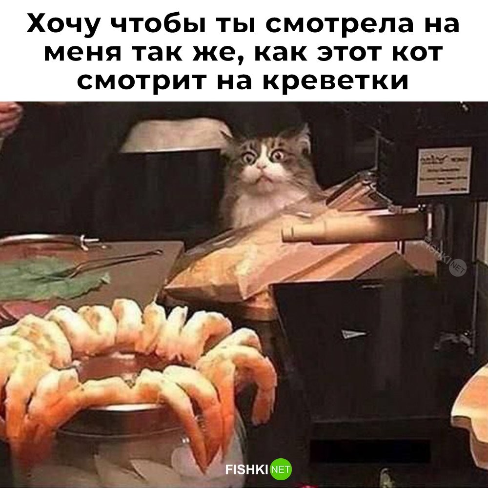 Подборка картинок с юмором
