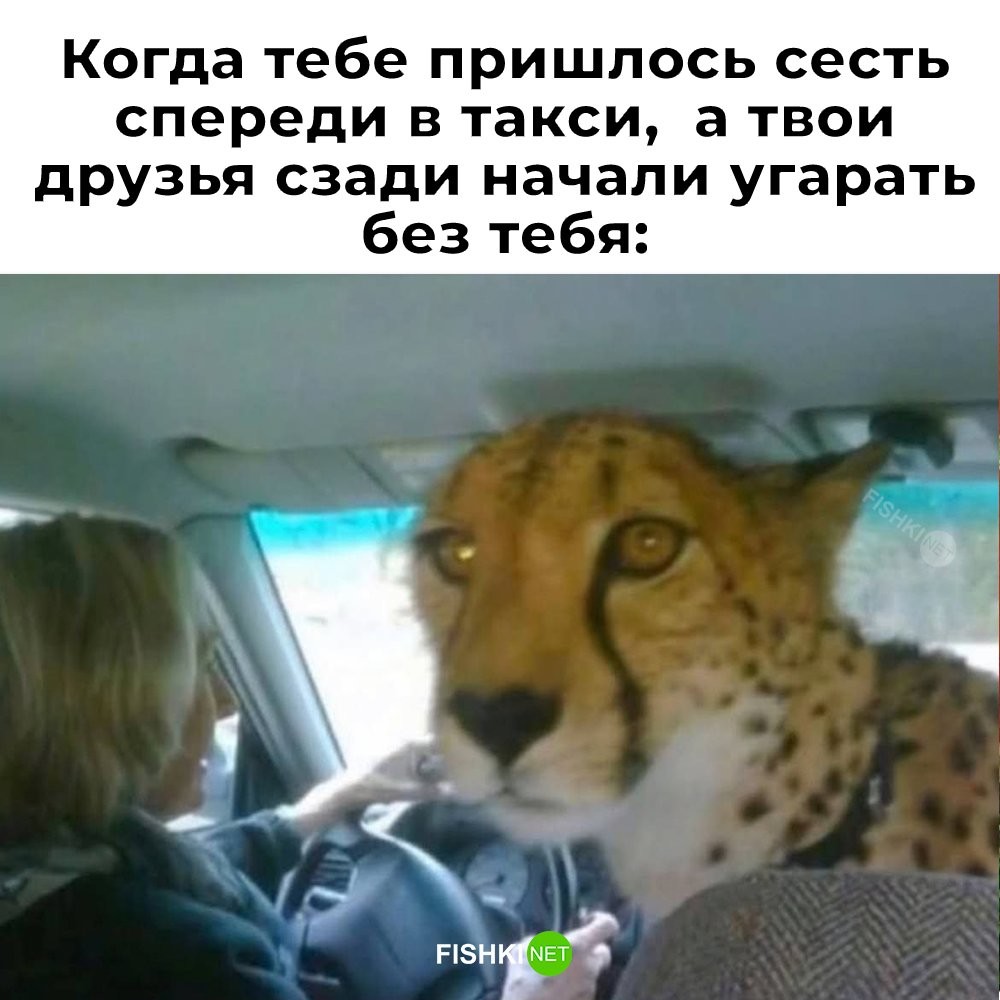 Подборка картинок с юмором