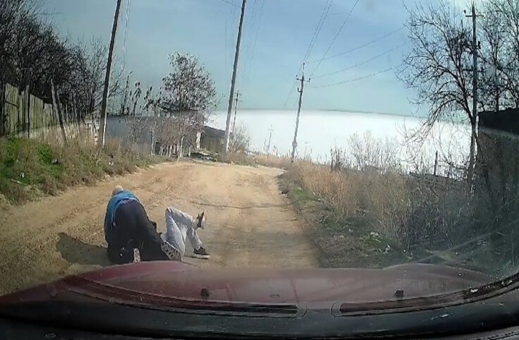 В Астрахани мужчина сбил с ног и принялся душить женщину, кормившую бездомных собак