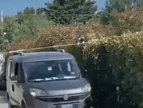 Просто гифки, всякие и&nbsp;разные
