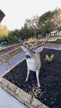 Когда живешь в изобилии