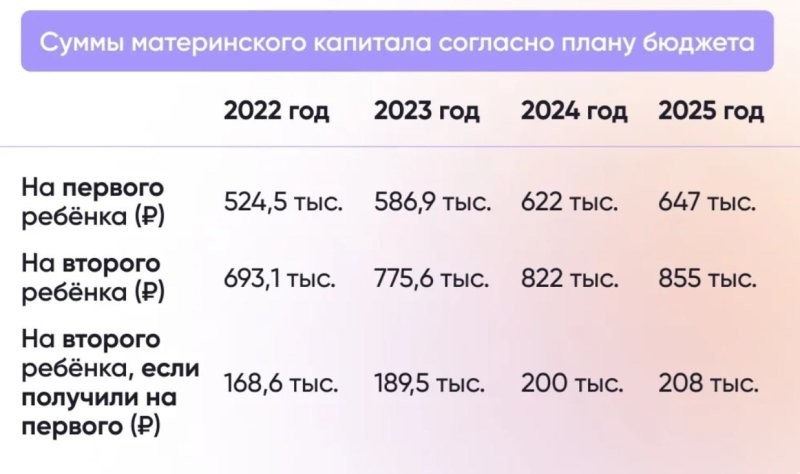 В Госдуме предложили увеличить маткапитал для женщин, родивших до 24 лет