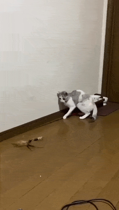 Самозанятый )