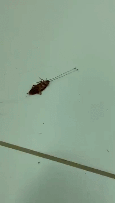 Просто гифки, всякие и&nbsp;разные