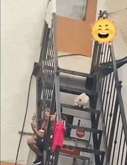 Просто гифки, всякие и&nbsp;разные