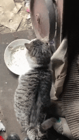 Просто гифки, всякие и&nbsp;разные