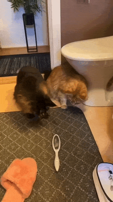 Просто гифки, всякие и&nbsp;разные