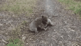 Просто гифки, всякие и&nbsp;разные